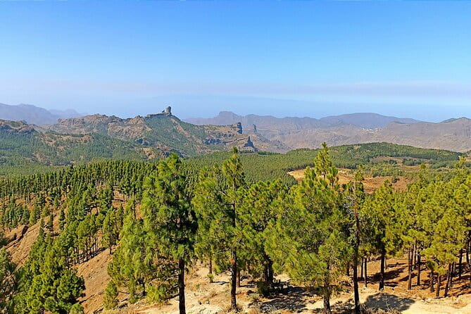 7-Hours Private Tour Volcanoes and Wine Region in the Canary Islands - Final Thoughts