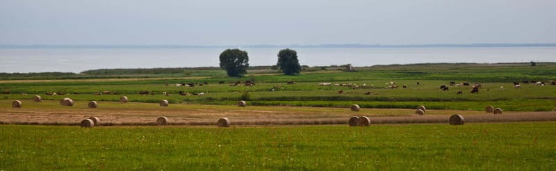 7-lake tour: nature & enjoyment on Usedom - Key Points / Takeaways