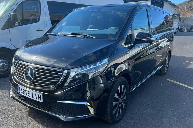 8-Hour Rental in a Luxury Car and Driver/Official Private Guide in Tenerife - Route, Sights, and Personalization