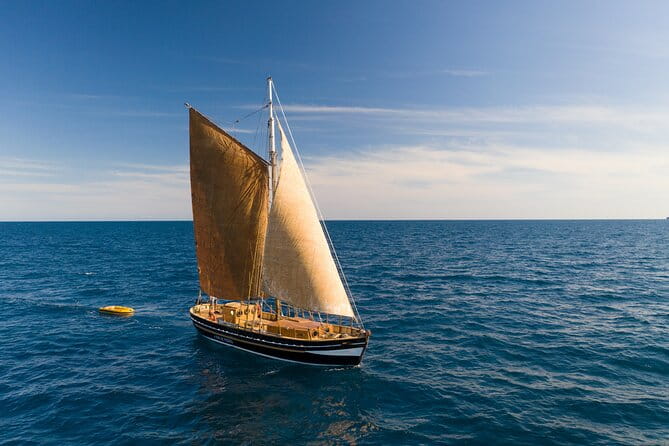 8-Hour Whale Watching in Barcelona - Final Thoughts