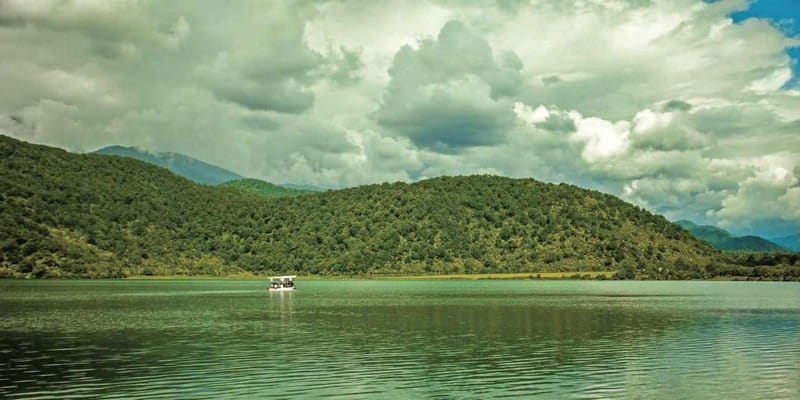 A Culinary Journey Through History and Nature - Who This Tour Is Best For