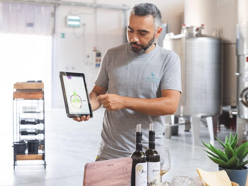 A morning with the Winemaker - Price and Value: Does It Justify the Cost?