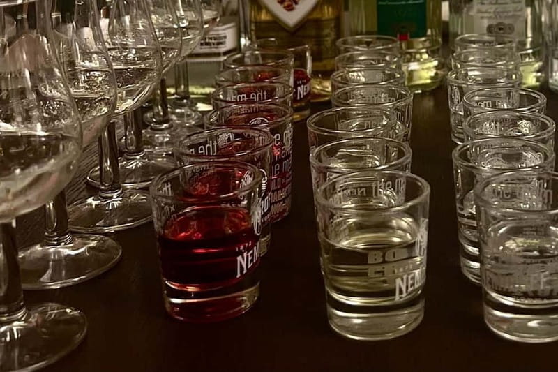 A Taste of Poland: Vodka & Liquor Tasting Tour - Who Will Enjoy This Tour?