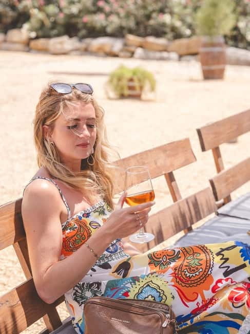 A Taste of Sicily: Wine, Picnic and Stunning Views Escape - Entering the World of Sicilian Vineyards