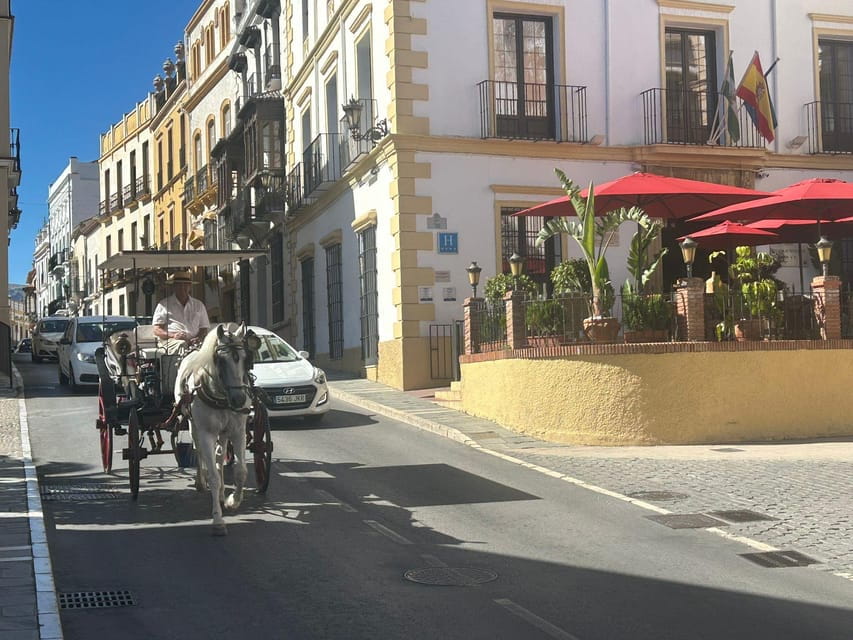 ab Marbella: Private VIP-Tour Ronda incl. Transfer + Tapas - Pricing and Overall Value