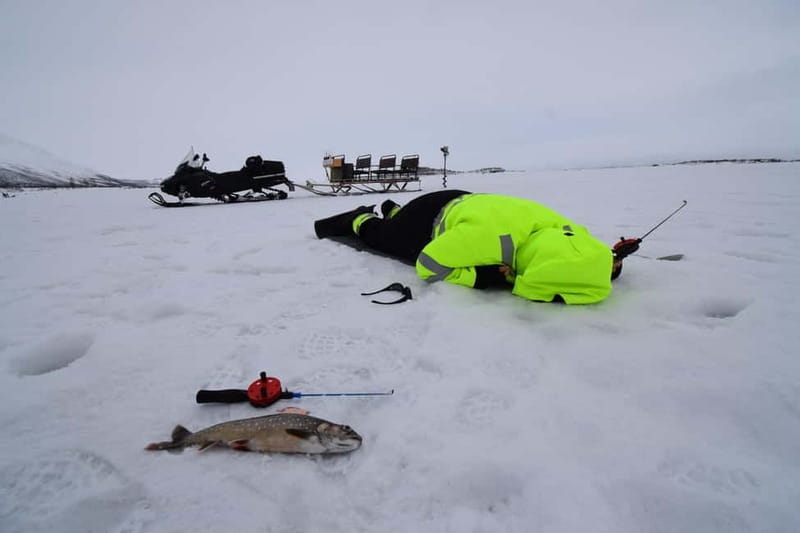 Abisko: Ice Fishing Experience - Price and Practical Considerations