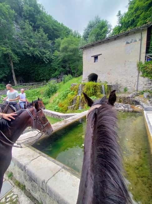 Abruzzo: Simbruini National Park Horseback Daily Adventure - Who Will Love This Experience?