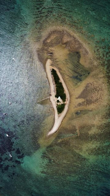 Agropoli: Punta Licosa Boat tour with Lunch - Who Will Love This Tour?