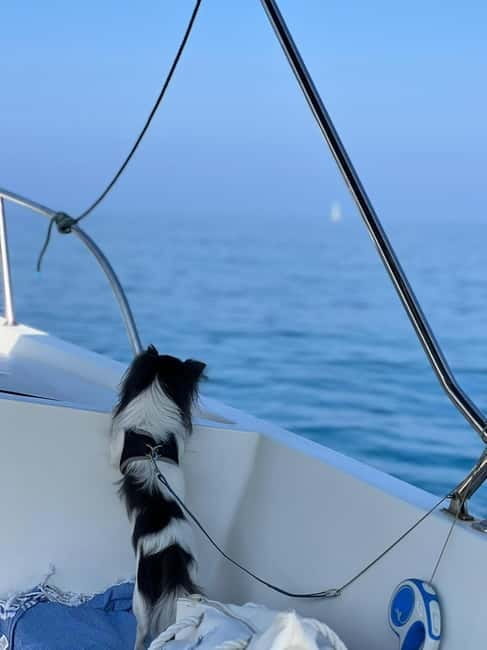 Agropoli: sunset boat tour with aperitif - Exploring Agropoli’s Sunset Boat Tour in Detail