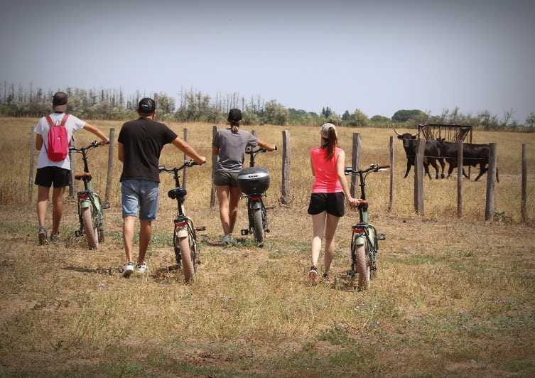 Aigues Mortes: safari en vélo - Ebike tour in Camargue - A Closer Look at the Camargue Ebike Safari Experience