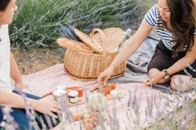 Aix-en-Provence: Visit to a lavender field + snacks - Entering the Heart of Provence’s Lavender Country