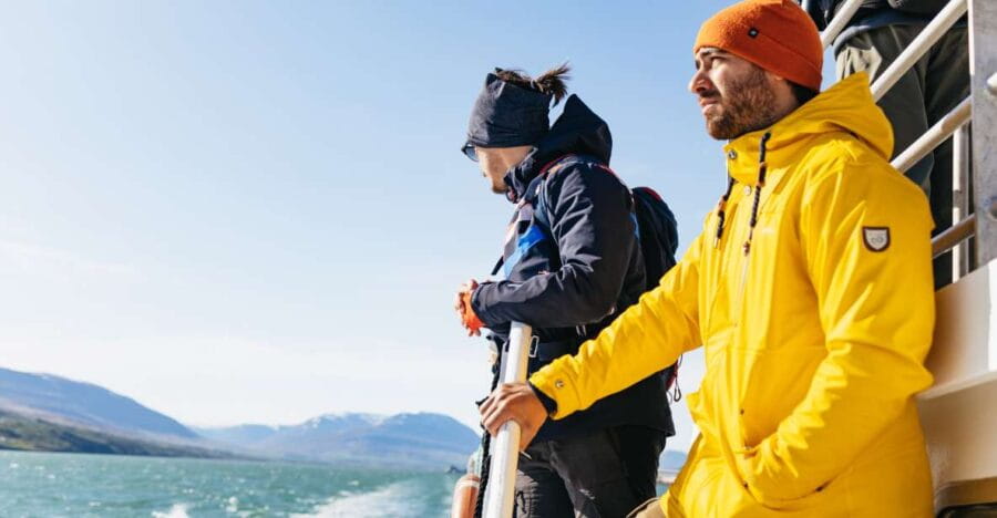 Akureyri: 3-Hour Classic Whale Watching Tour by Ship - Key points / Takeaways