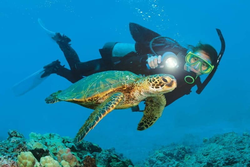 Alanya: Scuba Diving Adventure for Beginners & Professionals - Who Should Consider This Tour?