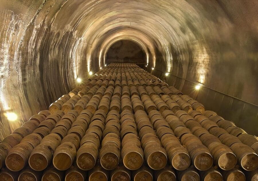 Álava: Viña Real Winery - Exploring the Winery: A Deep Dive into the Experience