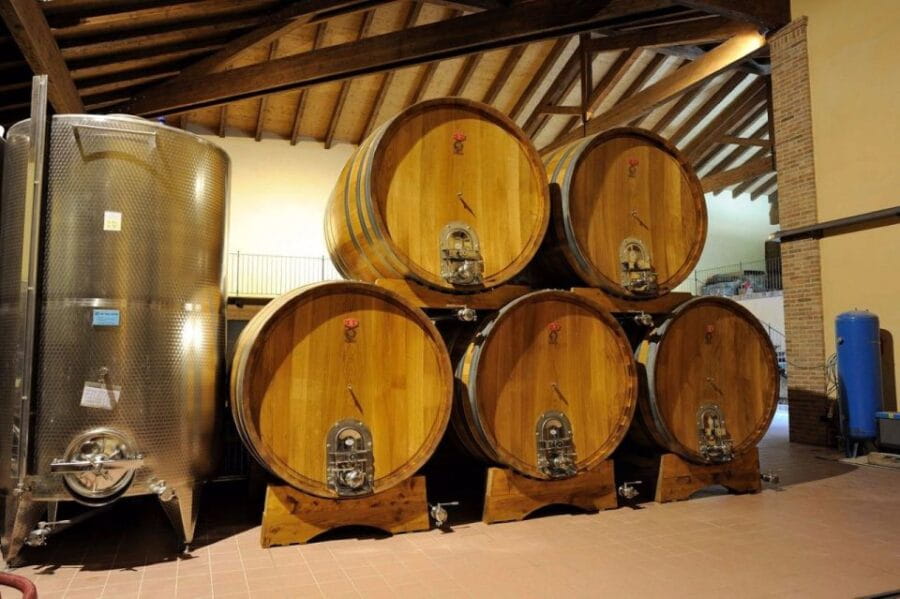 Alba: E-Bike Tour with wine tastin in cellar - Exploring the Charm of Alba and Its Vineyards