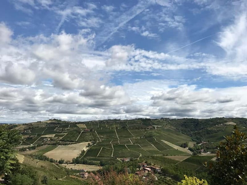 Alba: Wine Tasting and Tour with a Local Producer - Frequently Asked Questions