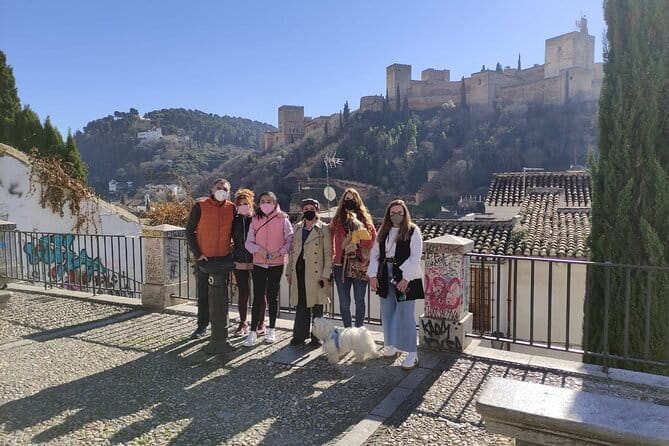 Albaicin guided tour with dogs - Discovering Granada’s Albaicín: A Deep Dive into the Experience
