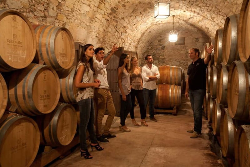 Albariño Wine Tour: Taste, Learn & Take Home a Special Gift - Tasting and Pairing: Sipping the Finest Albariños