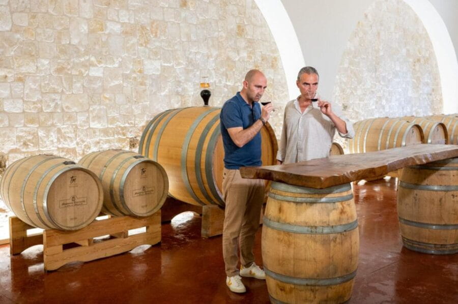 Alberobello: Winery Tour with Wine and Food Tasting - Tasting Four Regional Wines