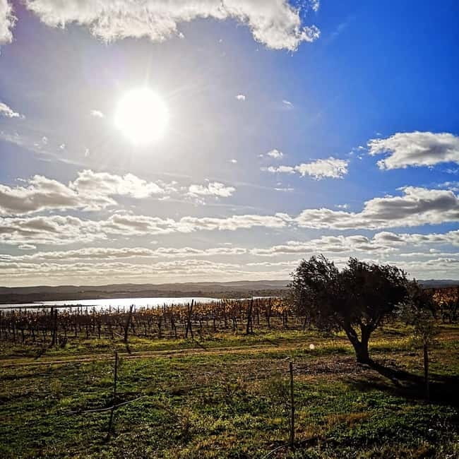 Albufeira: Algarve Wine Tasting, Gastronomical-Cultural Tour - FAQs