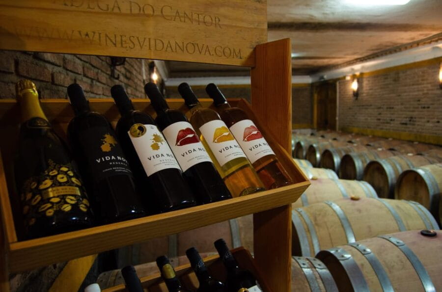 Albufeira: City Highlights & WINE TASTING - Why This Tour Stands Out