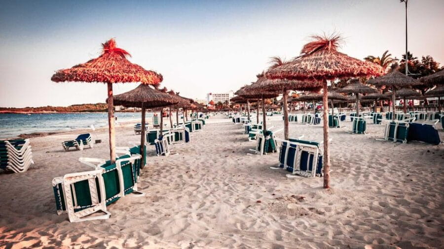 Alcudia: Meet the Magical Creatures of Alcudia,family game - The Route and Its Highlights