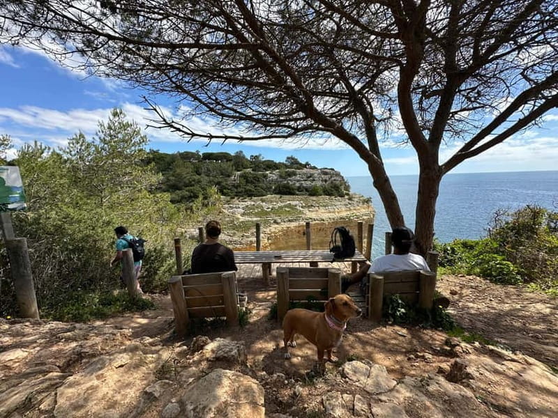 Algarve: 7 Seven Hanging Valley Hike Tour- Photos & Transfer - Price, Accessibility, and Practical Tips