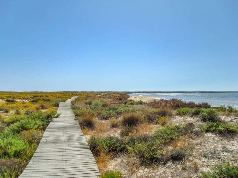 Algarve: Olhão Highlights Tour and Ria Formosa Boat Trip - FAQ