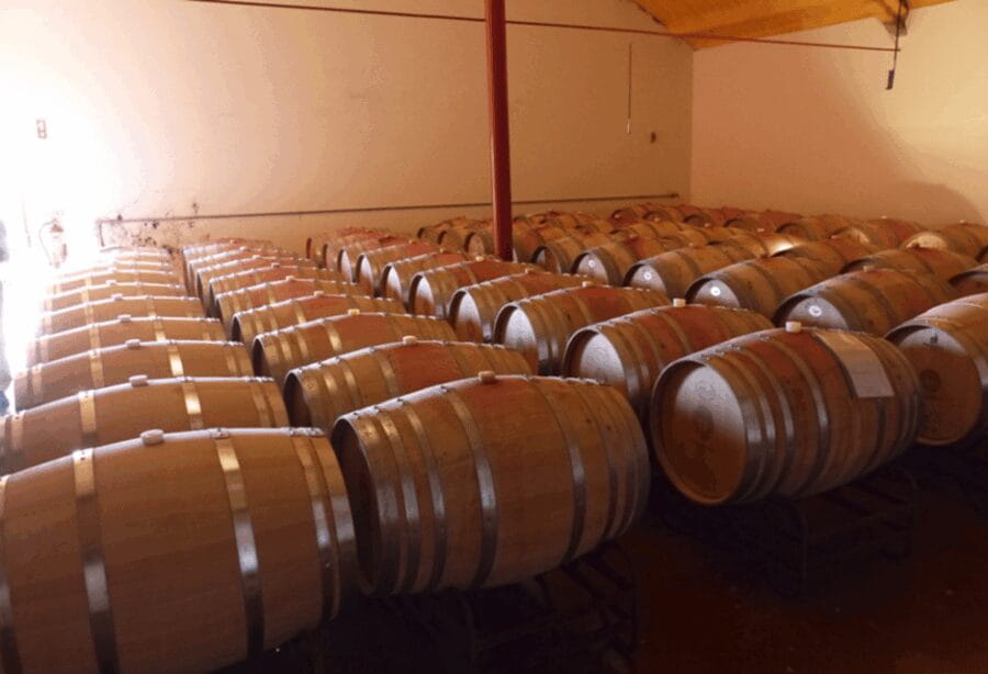 Algarve Wine Tour of two estates guided by wine expert - Tasting and Learning: The Core Experience