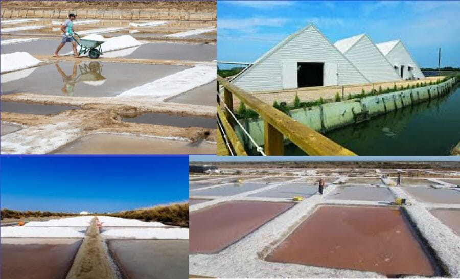 ALGARVE'S SALT TRAIL - Discovering Castro Marim’s Salt Pans