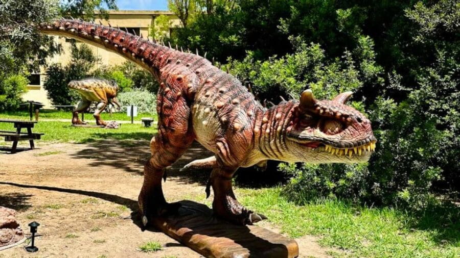 Alghero: Discover dinosaurs in Porto Conte Park - Who Will Love It?