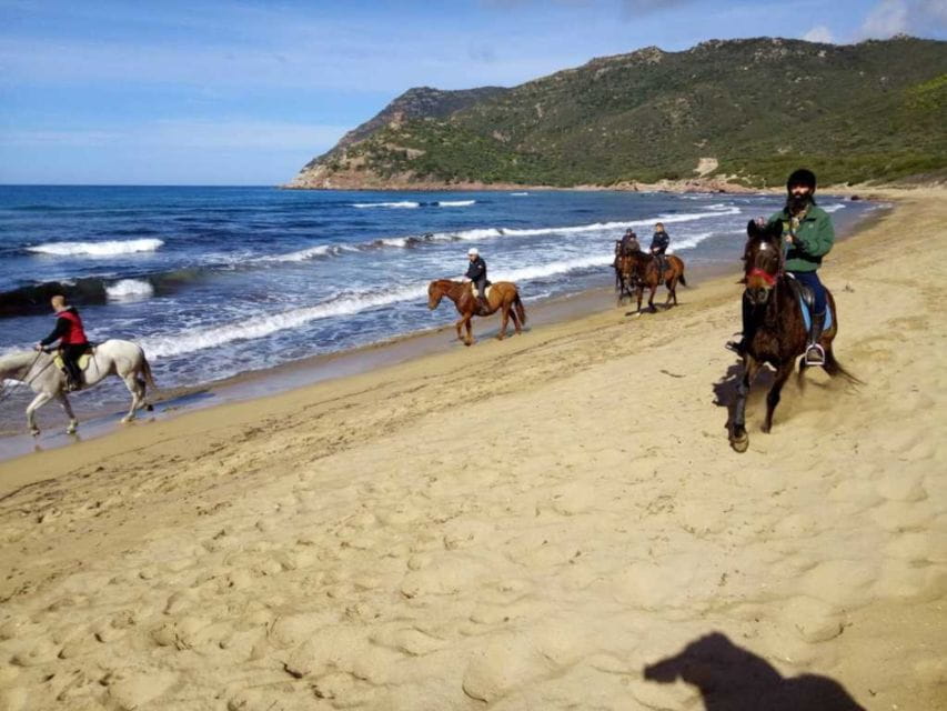 Alghero: Guided Horseback Ride at Lake Baratz & Porto Ferro - Exploring Sardinia on Horseback: The Details