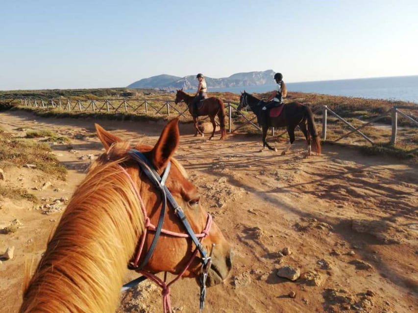 Alghero: horseback riding for experts in Lake Baratz - What You Can Expect on the Day