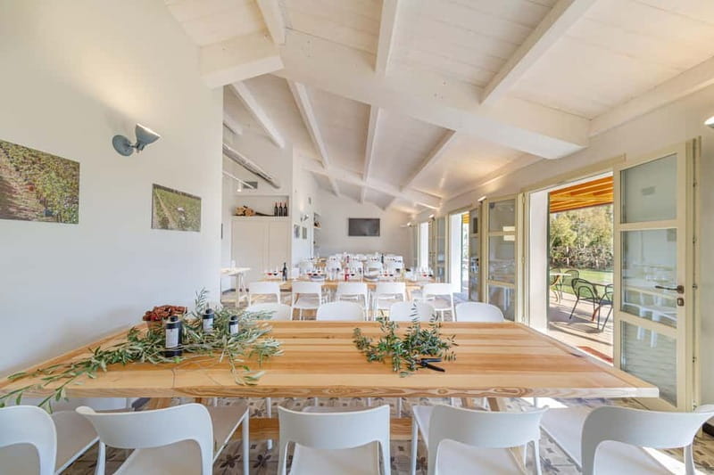 Alghero: Sunset Wine and Olive Oil Tour in Boutique Winery - Who Will Love This Tour?