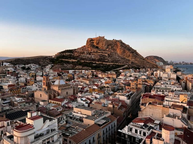 Alicante: Private Guided Tour with Transport - Who Will Love This Tour?