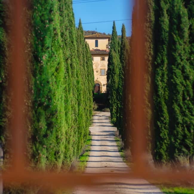 All Tuscany Wine Tour - The Core of the Experience: Tasting Six Wines
