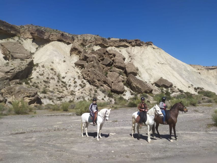 Almeria: Horse Riding Tour Through the Tabernas Desert - Why This Tour Delivers Value
