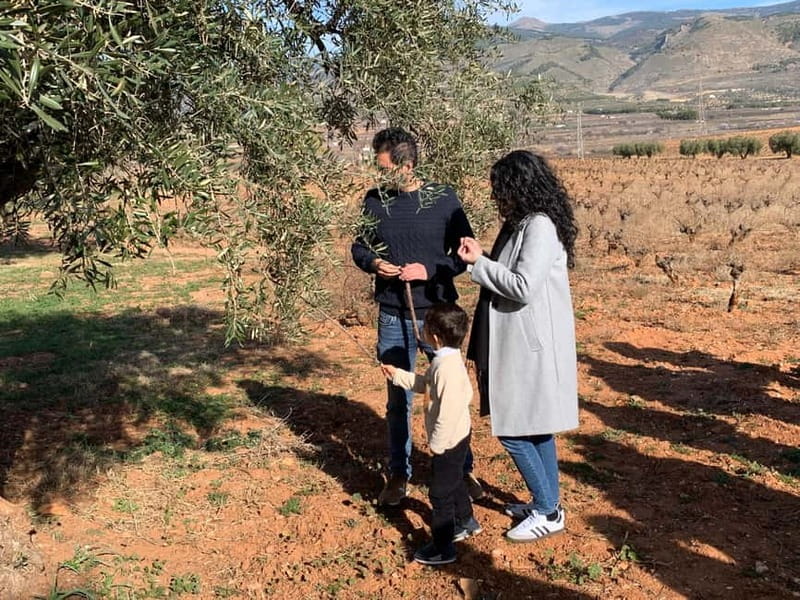 Alpujarra of Almería: Organic Wine tour and vegan aperitif - Exploring the Vineyard and Farm: The Heart of the Experience
