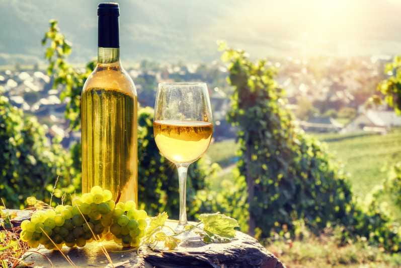 Alsace: Full-Day Wine Tour & Tastings from Strasbourg - Who Will Love This Tour?