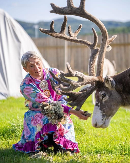 Alta: Reindeer - A carrier of Sámi Culture - Entering the Heart of Sámi Culture: An Authentic Reindeer Encounter