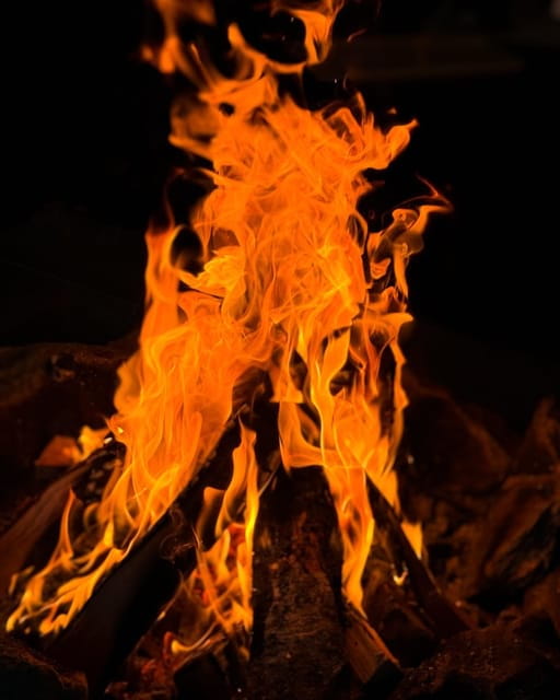 Alta: Sami Cultural experience - Lavvu - Reindeers - Who Will Love This Experience?