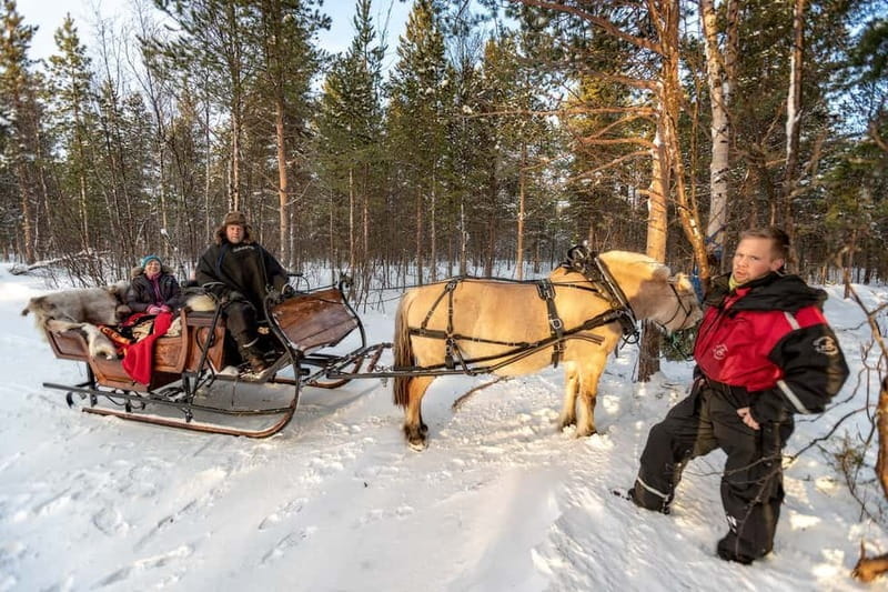 Alta: Sleigh or wagon Ride in the Arctic Countryside - Value and Practicality
