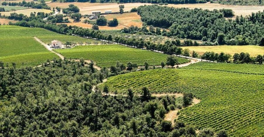 Alta Tuscia eBike tour with visit to Antica Cantina Leonardi - Who Will Love This Tour?