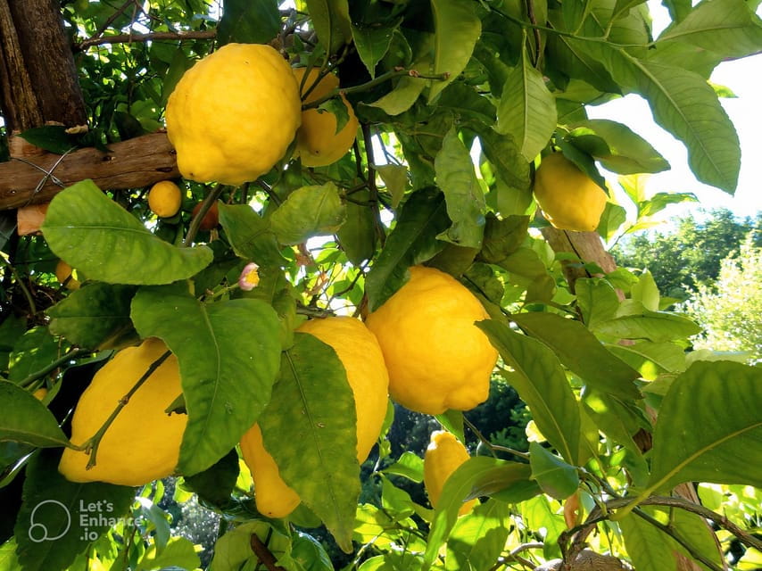 Amalfi Coast: lemon tour with tasting - Visiting the Rural Church and Historical House