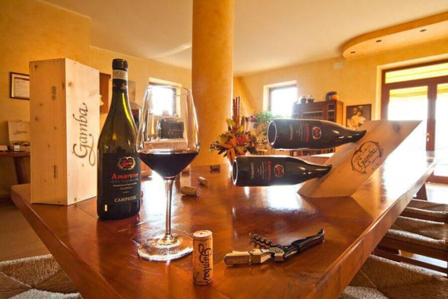 Amarone Wine Tasting Tour. Visit Verona. From Venice - Who This Tour Is Perfect For