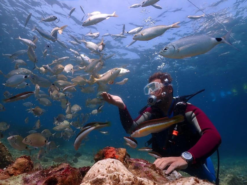 AMAZING KUSADASI SCUBA DIVING - Who Will Love This Tour?