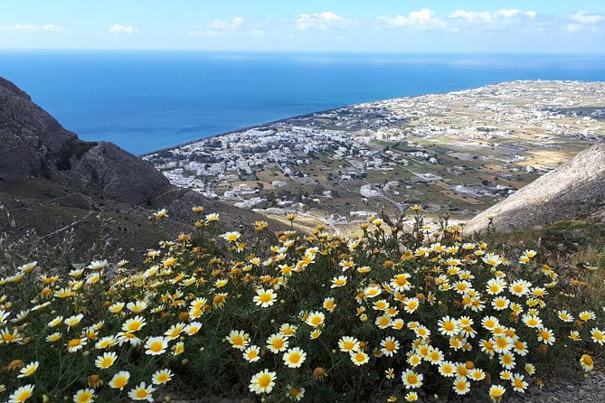 Amazing sightseeing in Santorini 2022 - Who Would Enjoy This Tour?