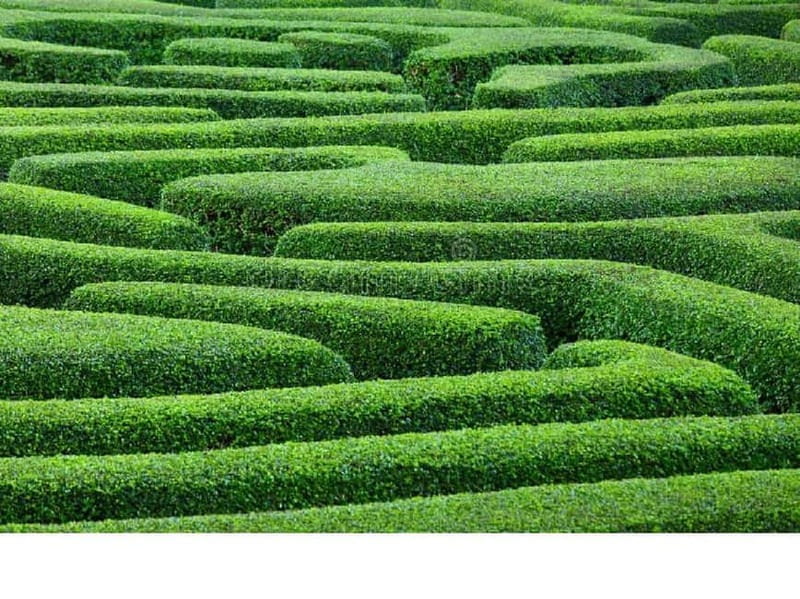 Ammochostos(:), Village Life Lover & Cyprus Gems-Region Trip - Key points / Takeaways