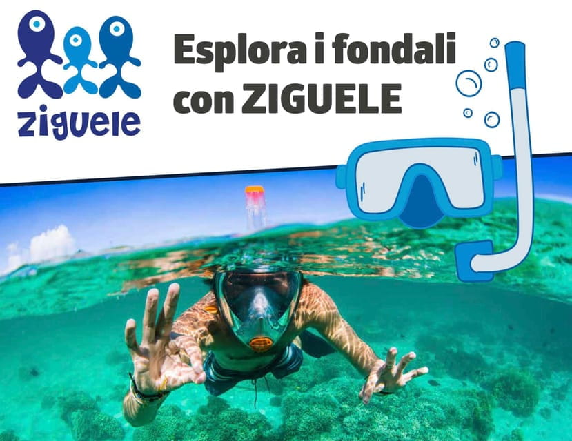 AMP Portofino: Naturalistic Snorkeling - Key points / Takeaways