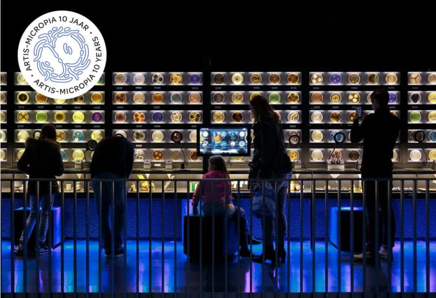 Amsterdam: Artis Royal Zoo & ARTIS-Micropia Combo Ticket - How the Experience Fits into Your Day